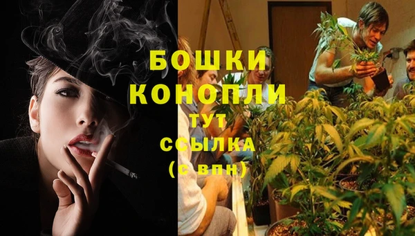 MDMA Вяземский